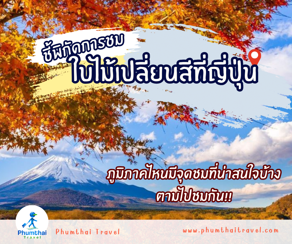ชี้พิกัดการชมใบไม้เปลี่ยนสีที่ญี่ปุ่น 🗾